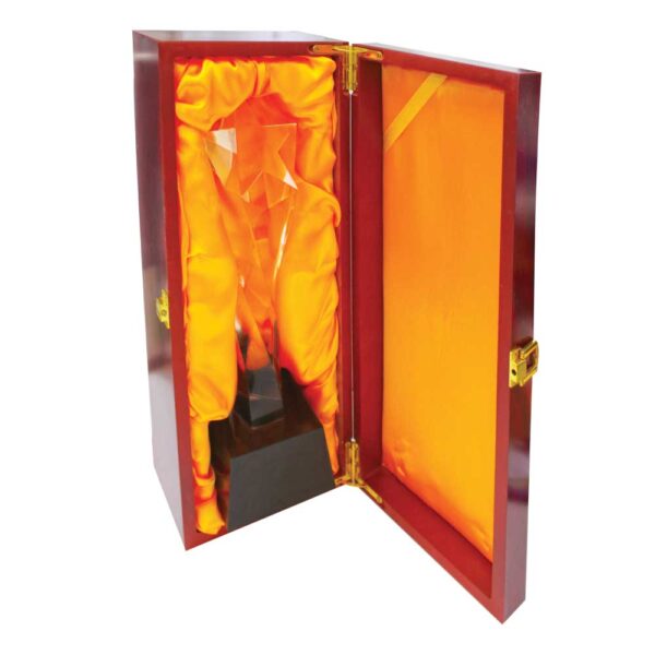 Star Crystal Trophy Tristar Graphic